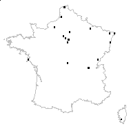 Ceratophyllum submersum L. - carte des observations