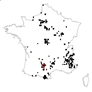 Cirsium acaulon (L.) Scop. subsp. acaulon - carte des observations