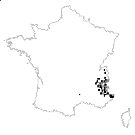 Atragene clematides Crantz - carte des observations