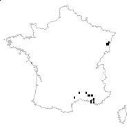 Crepis suffreniana (DC.) J.Lloyd - carte des observations