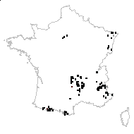 Caryophyllus deltoides (L.) Moench - carte des observations