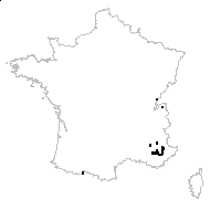 Dianthus scaber Chaix - carte des observations