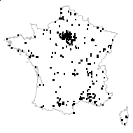 Diplotaxis muralis (L.) DC. - carte des observations