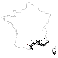 Jacobaea viscosa (L.) Merino - carte des observations