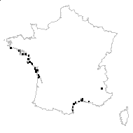 Chaetocladus distachyus (L.) J.Nelson - carte des observations