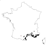 Erodium glutinosum Dulac - carte des observations