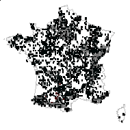 Euphorbia amygdaloides L. - carte des observations