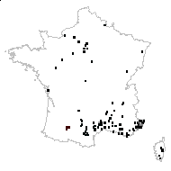 Fraxinus ornus L. - carte des observations