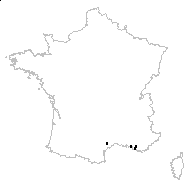 Galium urvillei Req. - carte des observations