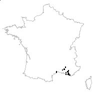 Medicago vermicularis Ces. - carte des observations