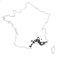 Iris lutescens Lam. - carte des observations