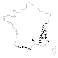 Gonyclisia saxatilis (L.) Dulac - carte des observations