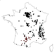 Scabiosa arvensis L. - carte des observations