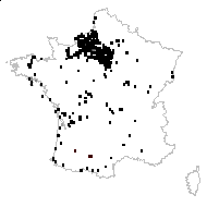 Lonicera periclymenum L. subsp. periclymenum - carte des observations