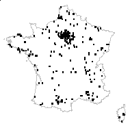 Pyrethrum maritimum (L.) Gray - carte des observations