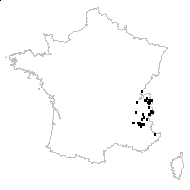 Nigritella rhellicanii Teppner & E.Klein - carte des observations