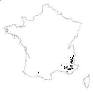 Odontites viscosus (L.) Clairv. - carte des observations