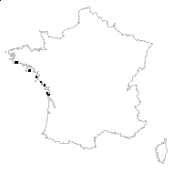 Omphalodes littoralis Lehm. - carte des observations