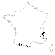 Oxytropis campestris (L.) DC. - carte des observations