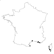 Parietaria lusitanica L. - carte des observations