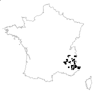 Pedicularis gyroflexa Vill. - carte des observations