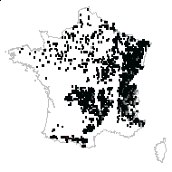 Picea rubra A.Dietr. - carte des observations