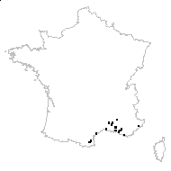 Platycapnos spicata (L.) Bernh. - carte des observations