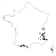 Poa cenisia All. - carte des observations