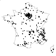 Potentilla aurea L. - carte des observations