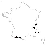 Ranunculus alpestris proles traunsfellneri sensu Rouy & Foucaud - carte des observations