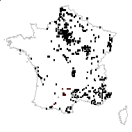 Reseda lutea L. - carte des observations