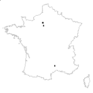 Rhododendron ponticum L. - carte des observations