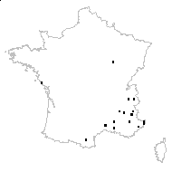 Sphacopsis verticillata (L.) Briq. - carte des observations