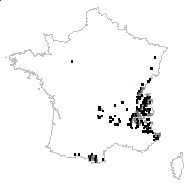 Saxifraga rotundifolia L. - carte des observations