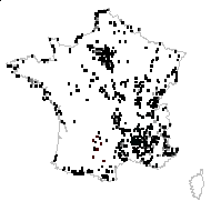 Sedum acre L. - carte des observations