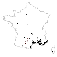 Medicago orbicularis (L.) Bartal. - carte des observations