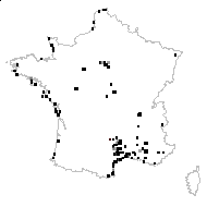 Pleconax striata Raf. - carte des observations