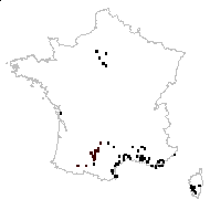 Medicago hispida subsp. oligocarpa Corb. - carte des observations