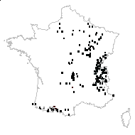 Stachys alpina L. - carte des observations