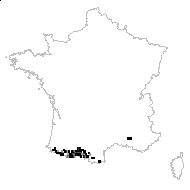 Teucrium pyrenaicum L. - carte des observations