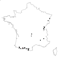 Thesium pyrenaicum Pourr. - carte des observations