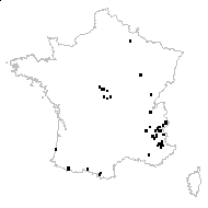 Thymus praecox Opiz - carte des observations