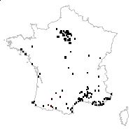 Vinca major L. - carte des observations