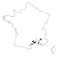 Phlomis herba-venti L. - carte des observations