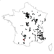 Coronilla varia L. - carte des observations