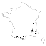 Androsace olympica Boiss. - carte des observations