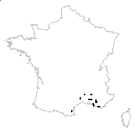 Asplenium petrarchae (Guérin) DC. - carte des observations