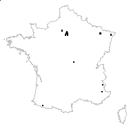 Carduus axillaris Gaudin - carte des observations