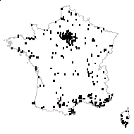 Fumaria capreolata L. - carte des observations