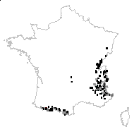 Ericala verna (L.) Gray - carte des observations